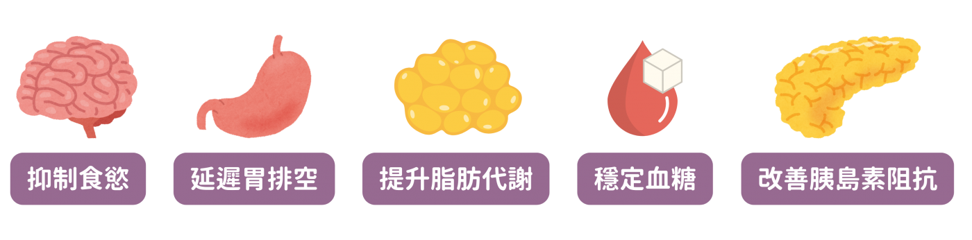 瘦瘦筆電腦版療效資訊圖